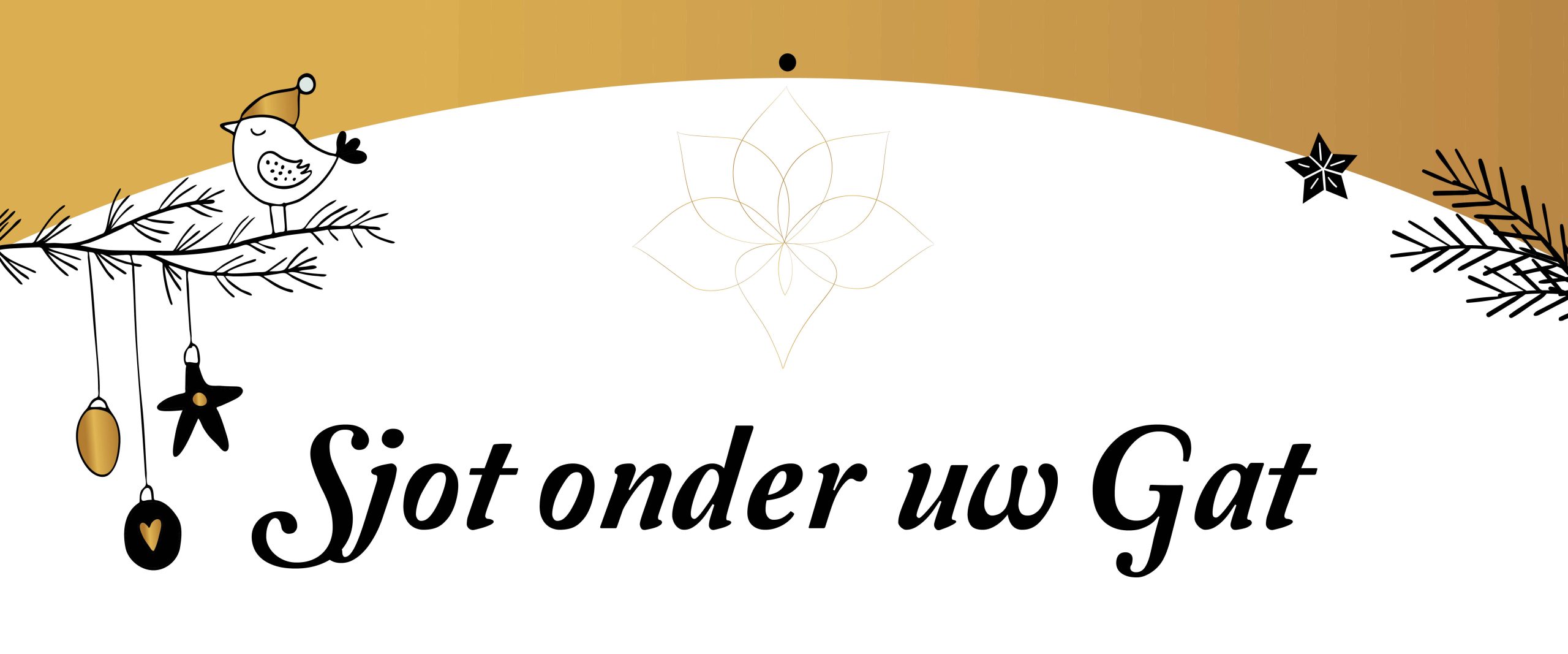 Liv van Weddingen - Sjot onder uw gat - Mailing Banner - kerst - V1 - B