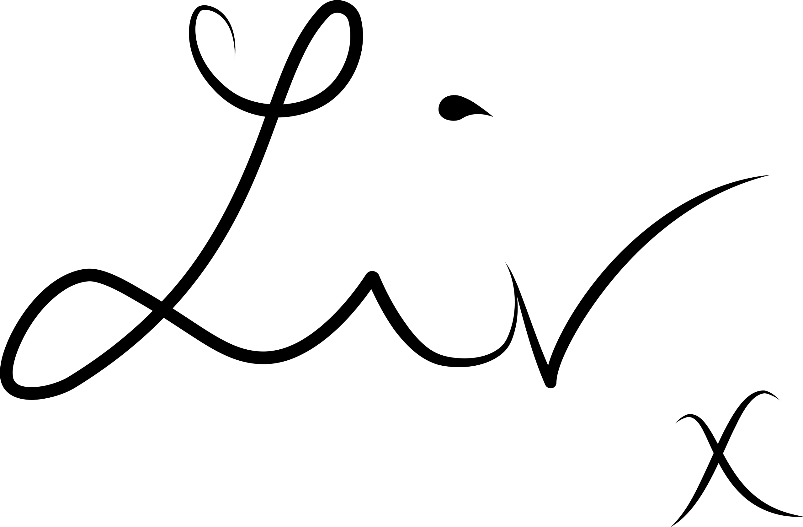 LVW - Handtekening - Zwart LVW - Handtekening - Zwart